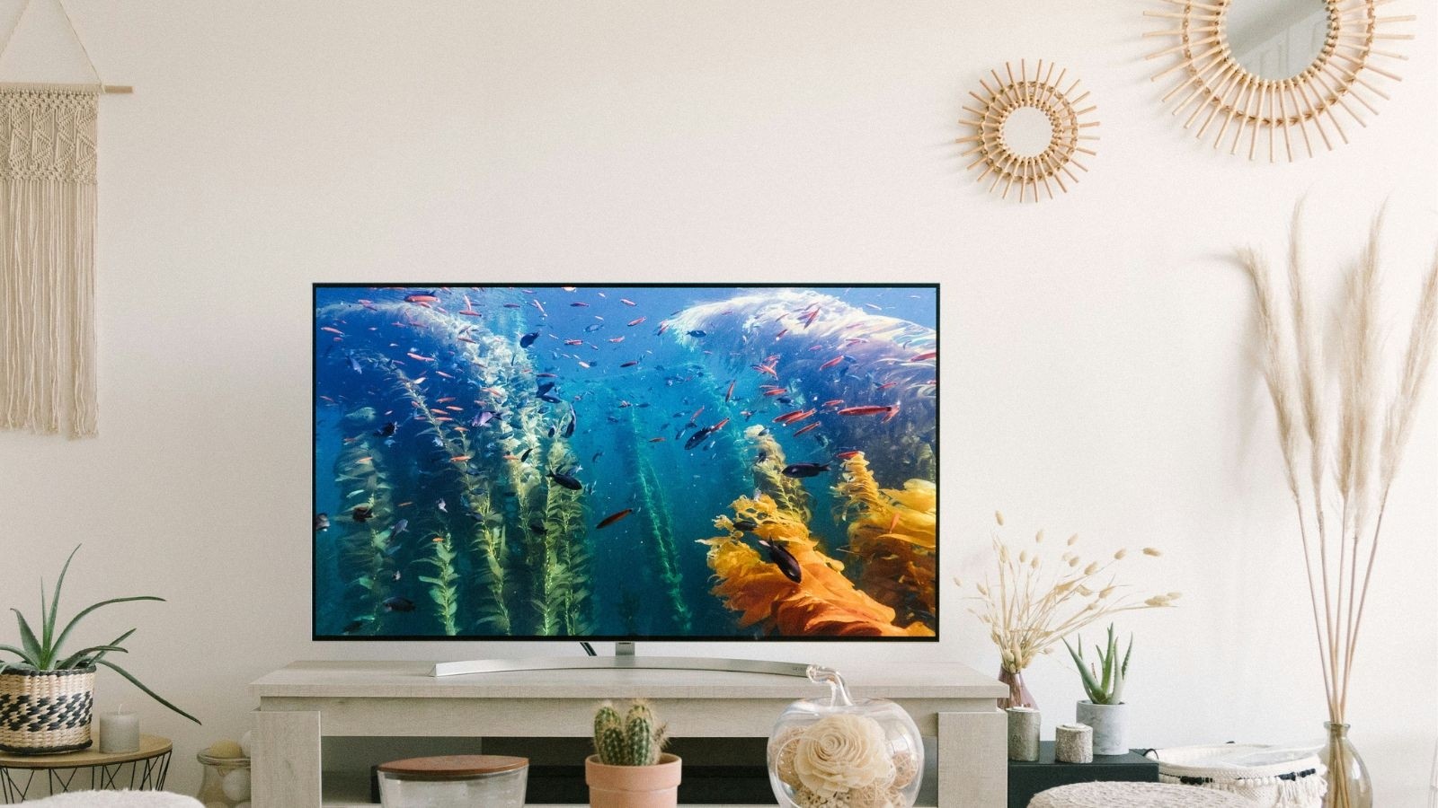 On television in living room, displaying fish swimming in.