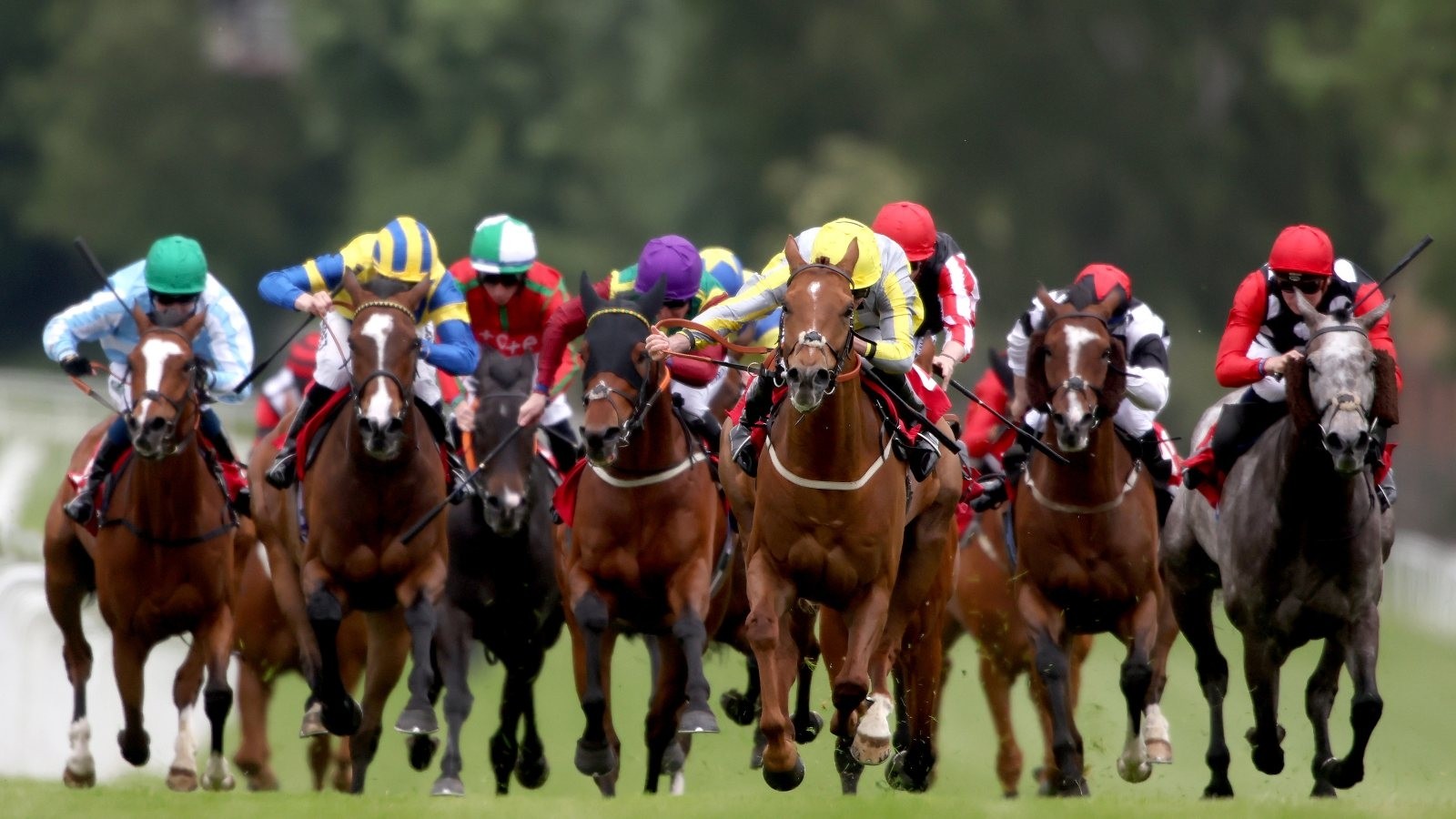 Horse racing - ITVX