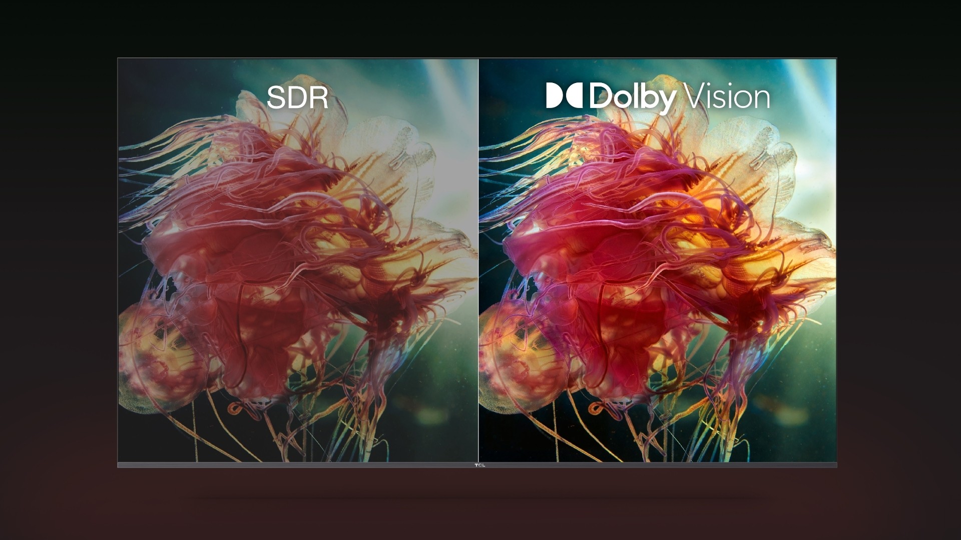 Dolby Vision TCL