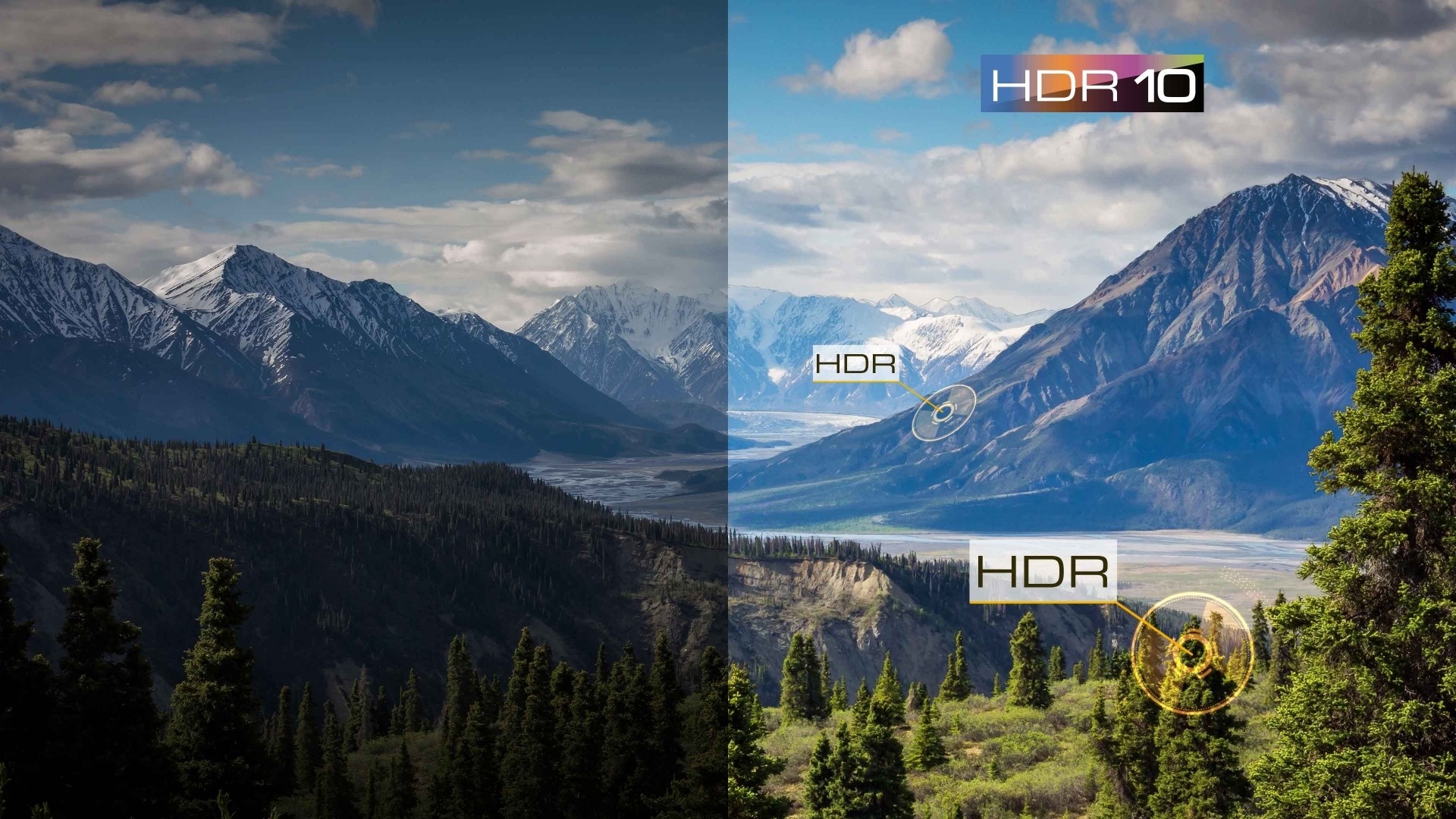 HDR10 TCL