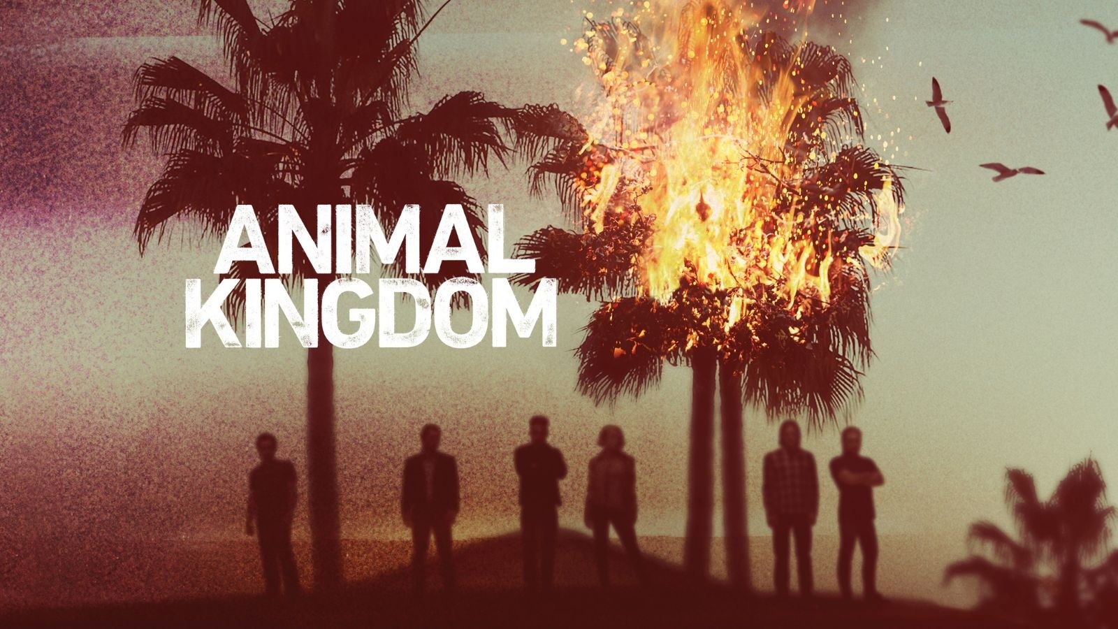 Animal Kingdom