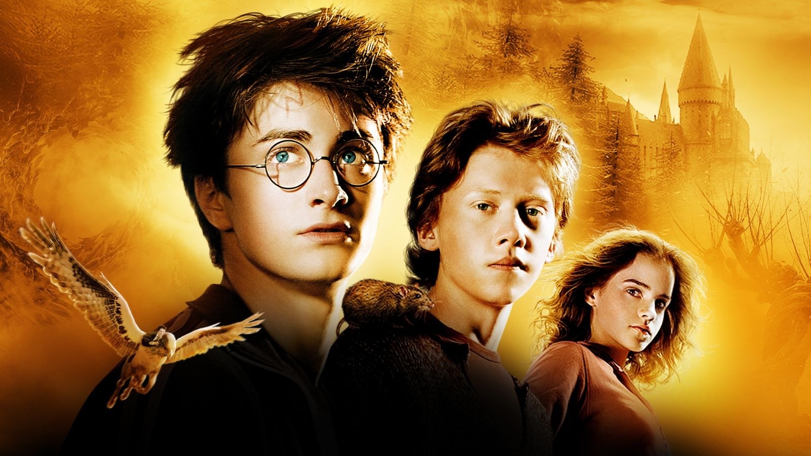 Ron Weasley, Hermione Granger, Harry Potter in Harry Potter and the Prison of Azkaban